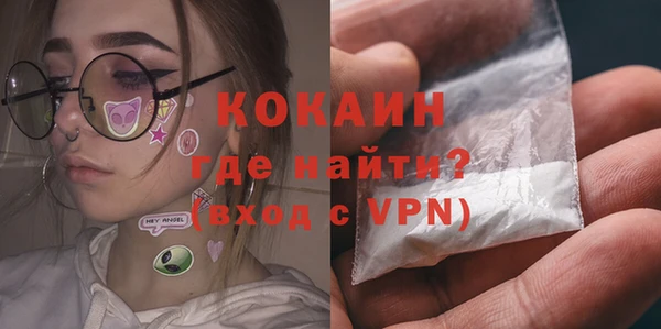 твердый Бородино