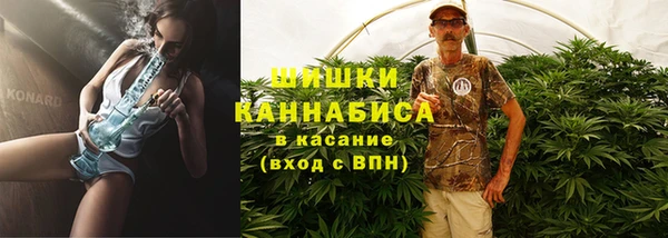 COCAINE Богородицк